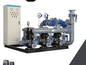 ֱ����������